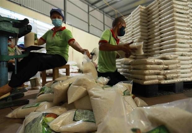 Đóng gói gạo tại công ty kinh doanh chế biến nông sản Bảo Minh ở quận Hoàng Mai (Hà Nội). (Ảnh: Vũ Sinh/TTXVN).