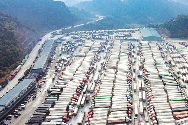 Hàng ngàn xe container hàng hóa nông thủy sản “nằm dài” chờ xuất khẩu sang Trung Quốc Ảnh: Đ.T.
