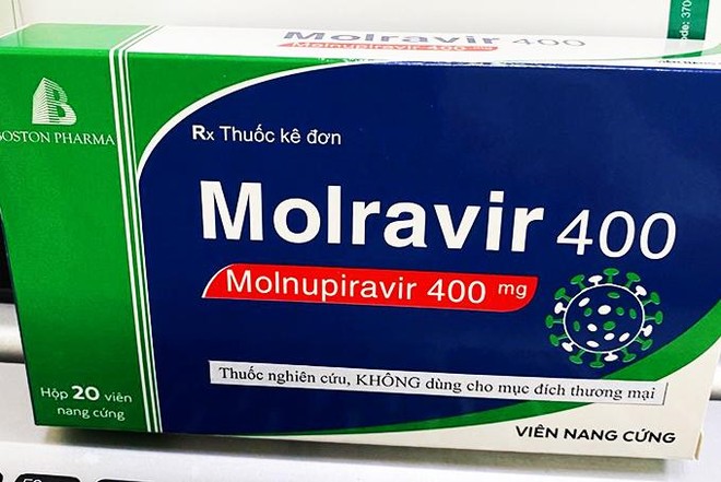 Molnupiravir được sử dụng để điều trị Covid-19 mức độ nhẹ đến trung bình ở người trưởng thành dương tính với xét nghiệm chẩn đoán SARS-CoV-2 và có ít nhất một yếu tố nguy cơ làm bệnh tiến triển nặng.