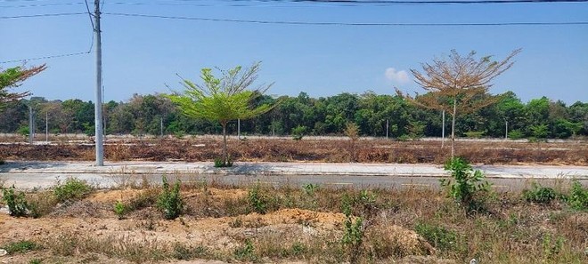 Nhiều khu đất phân lô, bán nền rồi bỏ hoang hóa, gây lãng phí tài nguyên đất đai ở tỉnh Kon Tum. Ảnh: P.V