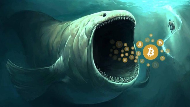 Giá Bitcoin hôm nay ngày 20/4: Hoạt động thu gom hàng của "cá voi" tăng mạnh, dấu hiệu của một đợt bùng nổ về giá của Bitcoin?