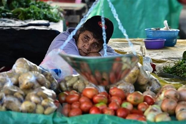 Một người bán rau, củ, quả tại chợ ở Tegucigalpa, Honduras. (Ảnh: AFP/TTXVN).