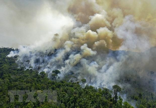 Khói bốc lên từ đám cháy rừng Amazon, Brazil. (Ảnh: AFP/TTXVN)