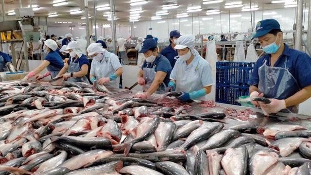Trong kết luận cuối cùng đợt rà soát hành chính, Mỹ giữ nguyên mức thuế chống bán phá giá cá tra, basa nhập khẩu từ Việt Nam.