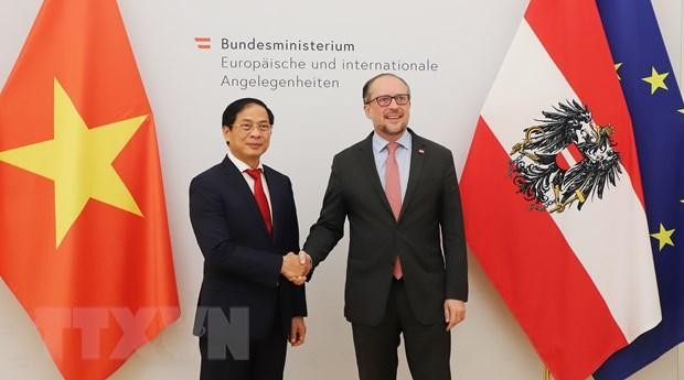 Bộ trưởng Ngoại giao Bùi Thanh Sơn và Bộ trưởng Ngoại giao Áo Alexander Schallenberg. (Ảnh: Mạnh Hùng/TTXVN)