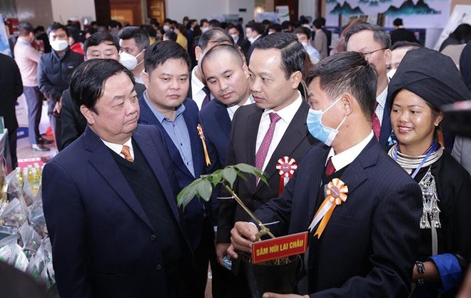 Bộ trưởng Lê Minh Hoan thăm gian trưng bày Sâm Lai Châu tại Hội nghị Xúc tiến Đầu tư lĩnh vực nông nghiệp tỉnh Lai Châu năm 2021.