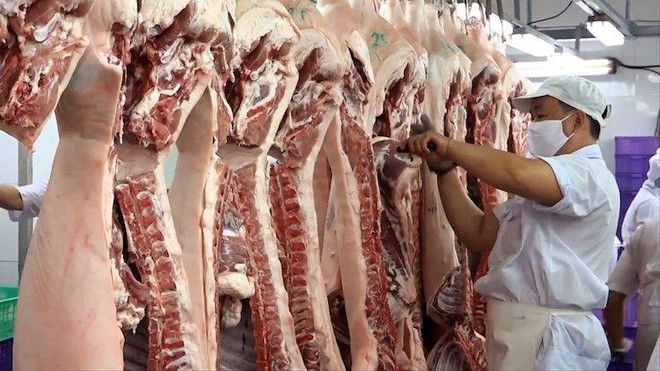 Bộ NN&PTNT chủ trì, phối hợp với các cơ quan liên quan nghiên cứu phản ánh liên quan đến vấn đề xuất khẩu thịt lợn.
