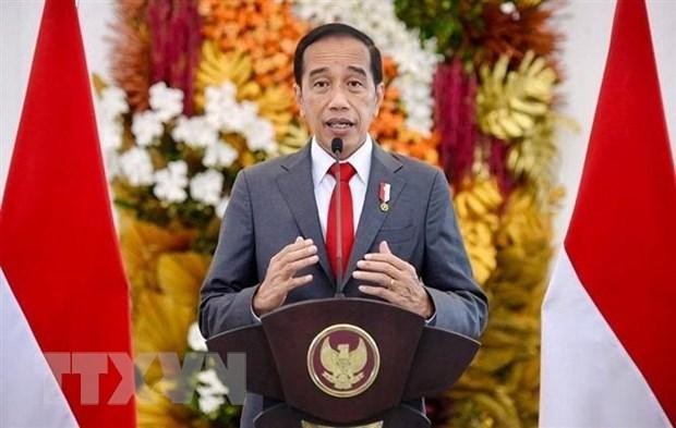Tổng thống Indonesia Joko Widodo. (Ảnh: AFP/TTXVN).
