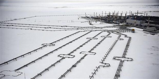Đường ống dẫn khí đốt thuộc mỏ khí Bovanenkovo, được phát triển bởi Tập đoàn năng lượng Nga Gazprom, tại bán đảo Yamal ở Bắc Cực. (Ảnh: AFP/TTXVN)