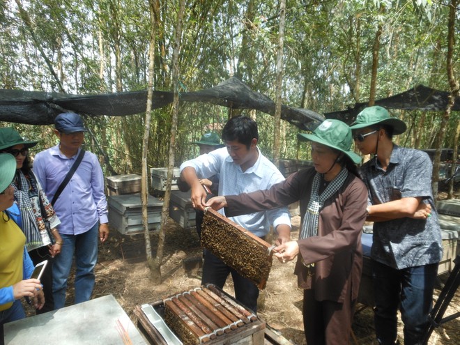 Du khách trải nghiệm nuôi ong lấy mật tại hộ du lịch cộng đồng huyện Tam nông, Đồng Tháp.