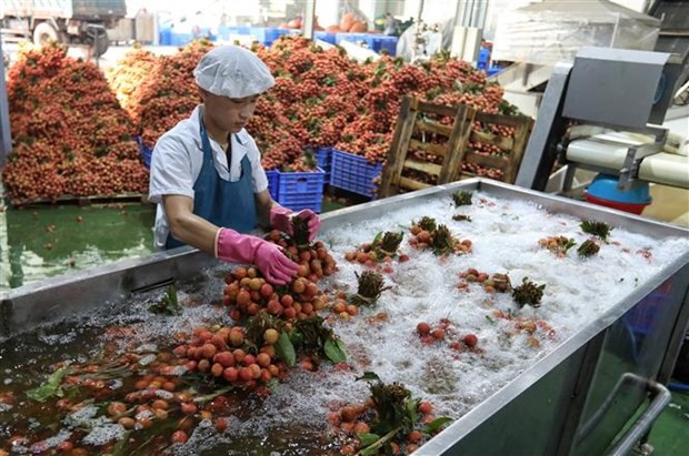 Bộ trưởng Nguyễn Hồng Diên đề nghị phía Ấn Độ đẩy mạnh mở cửa thị trường đối với các mặt hàng nông sản, trái cây tươi của Việt Nam. (Ảnh: Danh Lam/TTXVN)