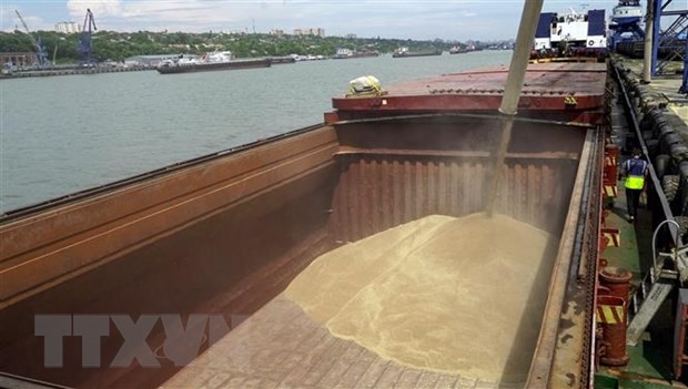 Chuyển lúa mỳ lên tàu tại cảng quốc tế Rostov-on-Don, Nga. (Ảnh: AFP/TTXVN).