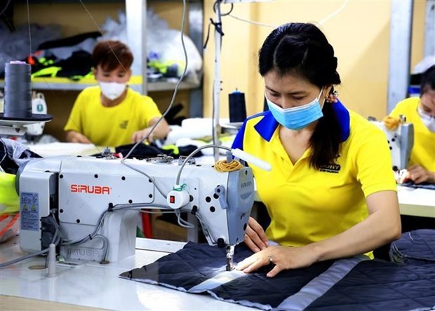 Công nhân may làm việc tại Công ty TNHH May mặc Dony, xã Vĩnh Lộc A, huyện Bình Chánh, Thành phố Hồ Chí Minh. (Ảnh: Hồng Đạt/TTXVN)