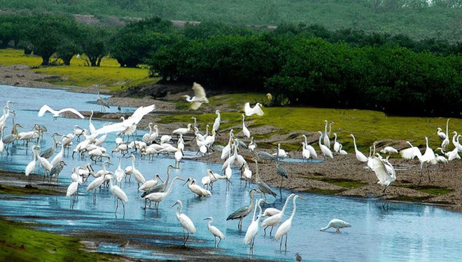 Vườn Quốc gia Xuân Thuỷ có diện tích vùng bảo tồn rộng 7.100 ha.
