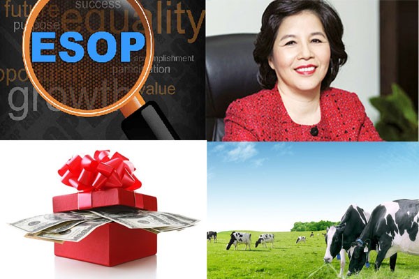 ESOP tại doanh nghiệp Việt: Lãnh đạo triệu USD, nhân viên dăm tỷ