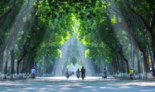 Con đường rợp bóng cây xanh như thế này giờ chỉ còn ít ỏi tại Hà Nội