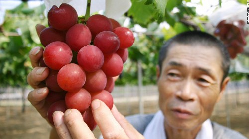 Nho hồng ngọc của nông dân Nhật Bản. Ảnh:CNN.