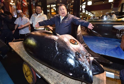 Ông Kimura bên con cá ngừ trị giá 3,1 triệu USD. Ảnh: AFP.