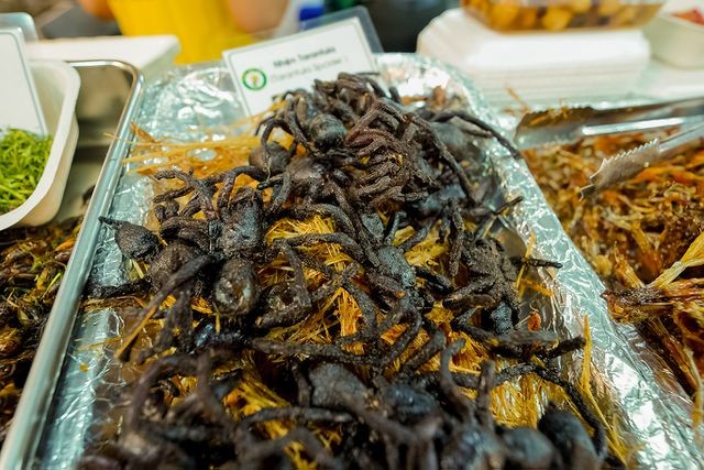 Du khách trải nghiệm món ăn từ côn trùng