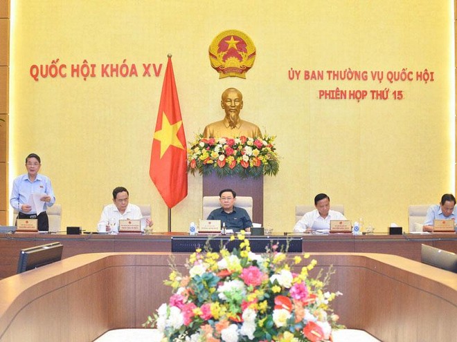 Phó chủ tịch Quốc hội Nguyễn Đức Hải phát biểu tạị phiên thảo luận.