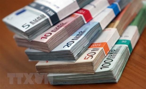 Đồng euro tại một ngân hàng ở Heidelberg, Đức. (Ảnh: AFP/TTXVN)