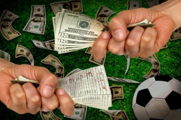 Không còn cá cược thể thao, người hâm mộ bóng đá chuyển sang đầu tư chứng khoán