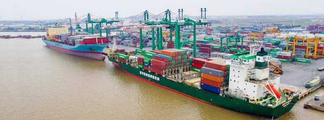 Container Việt Nam (VSC) tạm ứng cổ tức đợt 1/2020 tỷ lệ 15%