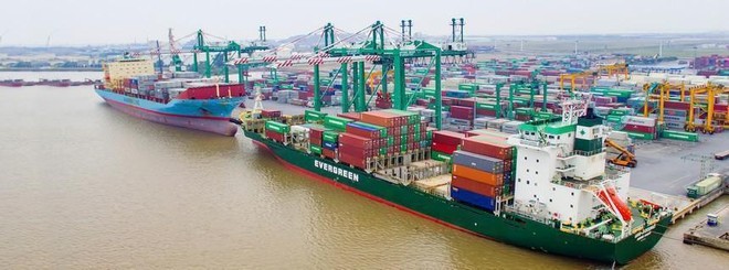Ông Đoàn Quang Huy tiếp tục gia tăng sở hữu tại Tập đoàn Container Việt Nam (VSC)