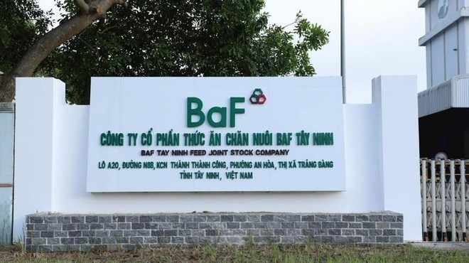 Nông nghiệp BaF Việt Nam (BAF): Sau khi bị bán giải chấp 9 phiên, Kế toán trưởng mới công bố thông tin