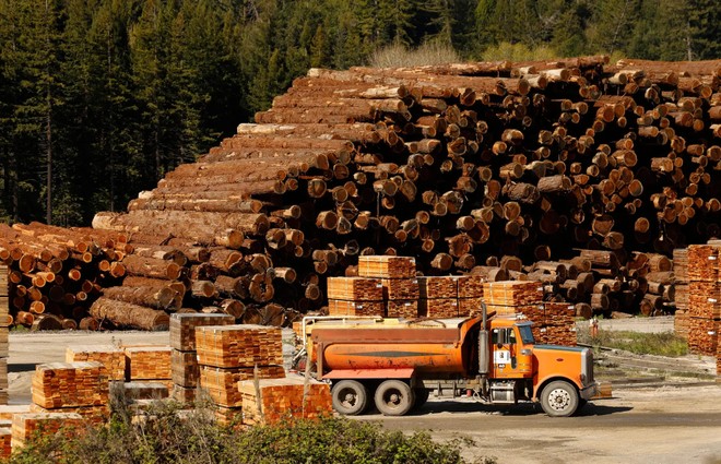 Thị trường gỗ xẻ có thể tiếp tục đối mặt với áp lực giảm giá trong năm 2023