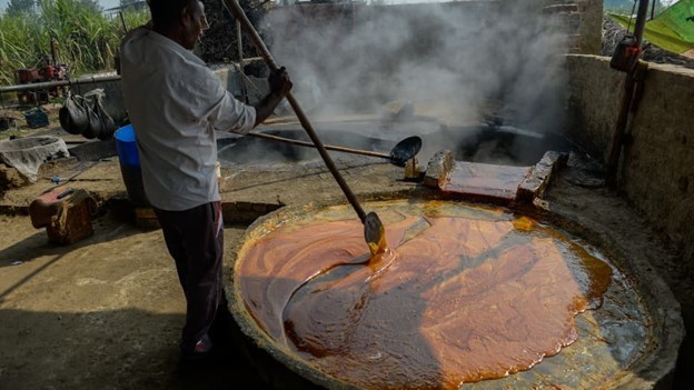 Công nhân chuẩn bị đường thốt nốt, đường mía chưa tinh luyện tại một nhà máy ở Modinagar, Ấn Độ