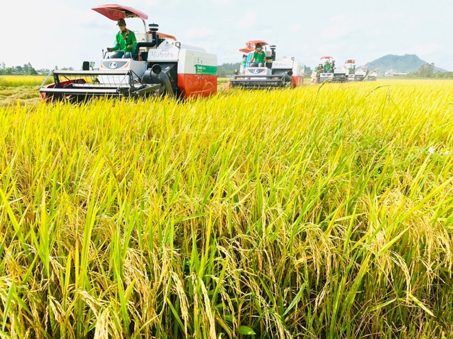 Biến đổi khí hậu đe dọa các nhà cung gạo hàng đầu thế giới