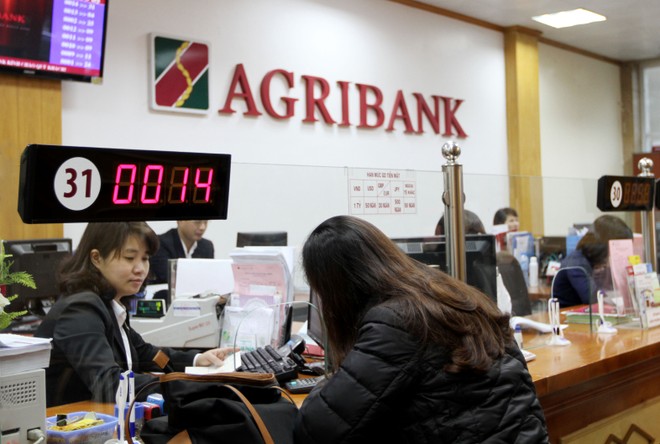 Năm 2015, Agribank dự kiến đạt lợi nhuận trước thuế trên 3.500 tỷ đồng