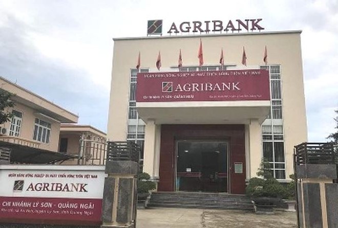 Agribank Lý Sơn đóng vai trò tích cực thúc đẩy quá trình phát triển kinh tế- xã hội 
huyện đảo tiền tiêu của Tổ quốc
