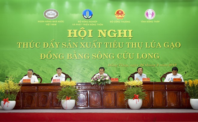 Hội nghị "Thúc đẩy sản xuất tiêu thụ lúa gạo Đồng bằng sông Cửu Long