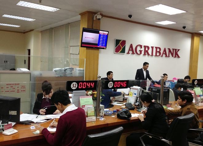 Các quy định về tổ trưởng tổ vay vốn của Agribank