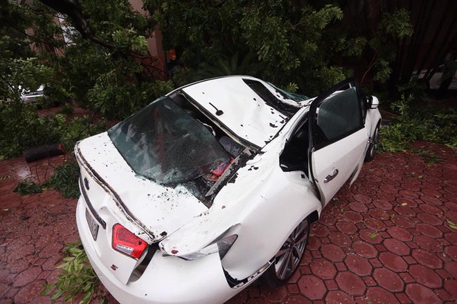Xe ô tô bị cây đổ đè bẹp hoàn toàn tại Hà Nội