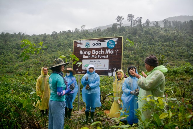 Manulife Việt Nam phát động chương trình “Góp Email Trồng Rừng”, ủng hộ 2.000 cây tới Vườn Quốc gia Bạch Mã