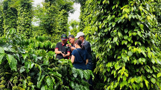 Nestlé Việt Nam đẩy mạnh hợp tác đa bên trong nỗ lực thúc đẩy nông nghiệp xanh