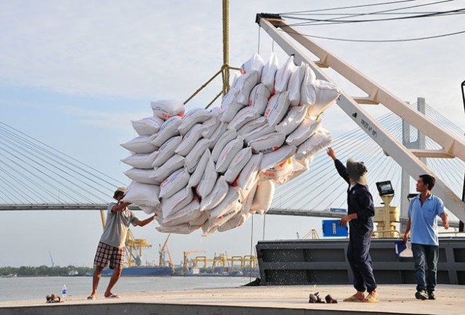 Thương nhân Việt Nam đã trúng 6 trên 8 lô thầu xuất khẩu gạo vào Philippines