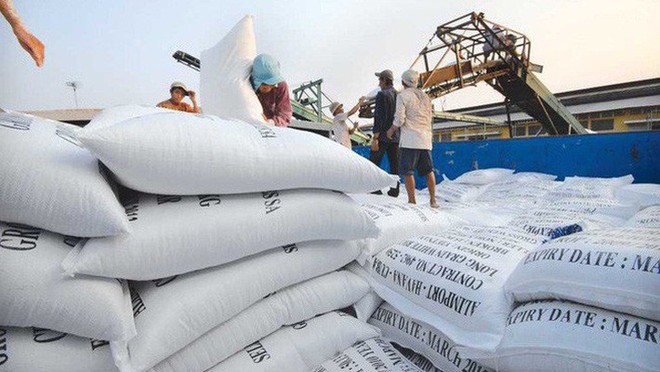 Đến hết ngày 15/9, xuất khẩu gạo đạt 4,73 triệu tấn, trị giá 2,38 tỷ USD