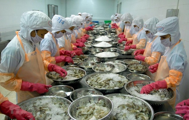 Thủy sản Minh Phú sẽ kháng cáo việc Hải quan Mỹ áp đặt thuế chống bán phá giá với tôm xuất khẩu.