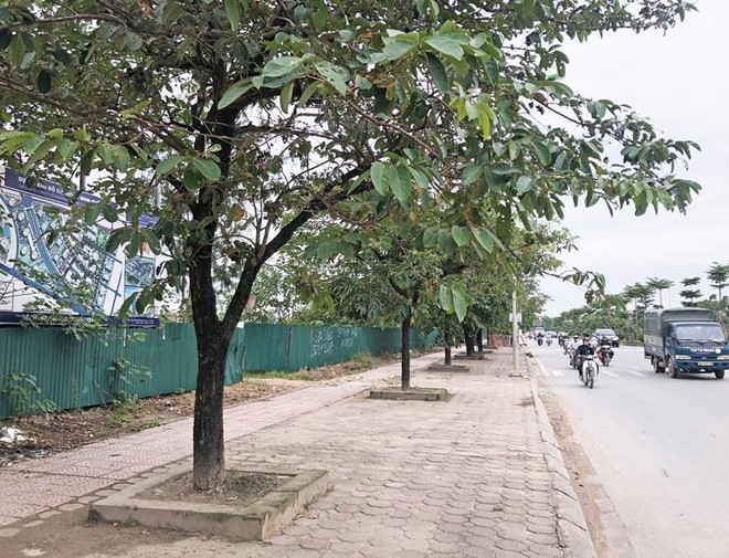 Khu đất Dự án Khu giáo dục Nguyễn Trãi được quây tôn kín, “treo” gần 15 năm nay.