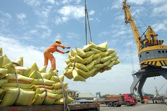 Năm 2020 xuất khẩu lúa gạo của Việt Nam đạt kim ngạch trên 3 tỷ USD, tăng hơn 10% so với năm 2019.