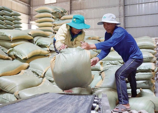 Xuất khẩu gạo có nhiều cơ hội tăng cả về sản lượng lẫn giá bán trong năm 2021. Ảnh: Đức Thanh