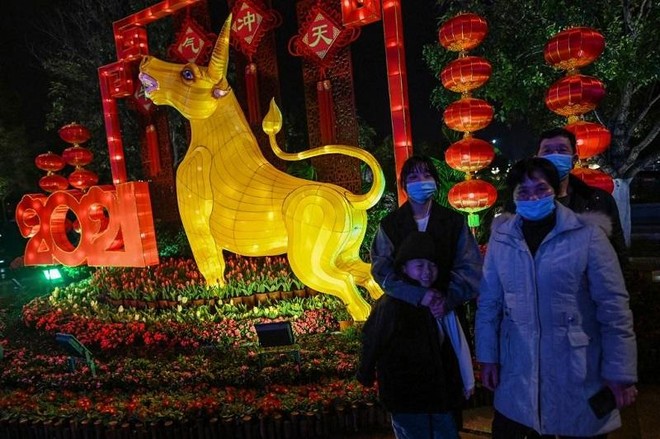 Một gia đình trang chụp ảnh bên cạnh hình tượng con trâu ở thành phố Vũ Hán, Trung Quốc vào ngày 10/2/2021. Ảnh: AFP