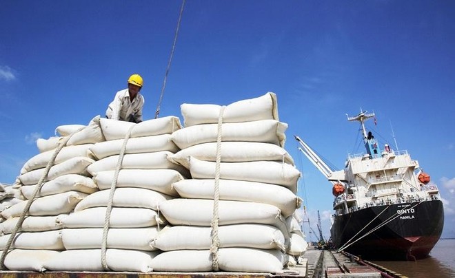 Công ty là đơn vị cung ứng nguồn để Tổng Công ty Lương thực miền Bắc xuất khẩu gạo.
