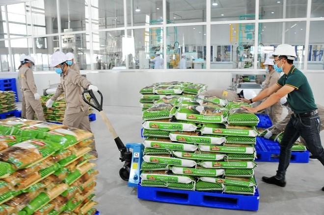 Gạo Việt Nam được bán tại Anh quốc với các thương hiệu : Longdan, Golden Lotus, Buffalo (của Longdan Supermarket) , Green Dragon (của Westmill UK) và Red Ant (của MediFood).