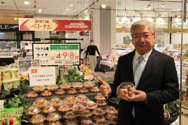 Vải thiều Việt Nam bán tại hệ thống siêu thị của Nhật Bản năm 2020
