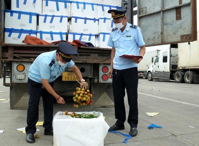 Trung Quốc đã thiết lập 10 khu tập kết trái cây, 4 khu tập kết lương thực tại các cửa khẩu biên giới phía Trung Quốc để hỗ trợ tập kết các mặt hàng nông sản Việt Nam sang.